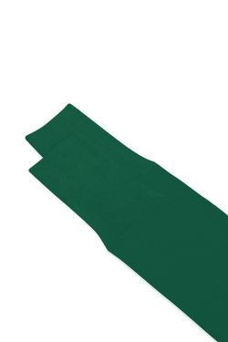 PLAIN_LONG_SOCKS ANTT0004