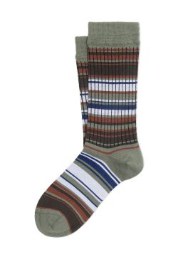 PIXIE_SHORT ANTV0003