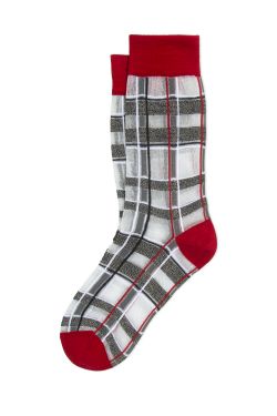 BRILL_SHORT ANTD0011