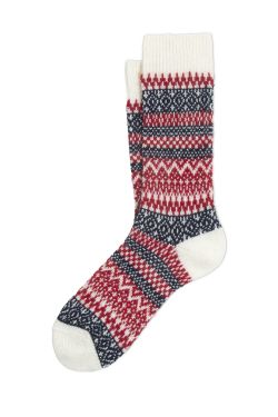 KOTTE_SHORT ANTN0017