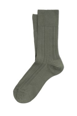 KRONI_SHORT ANTJ0057