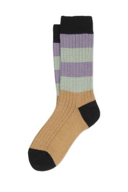 GLENN_SOCKS D106DY135525