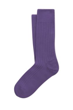 QUINCY_SHORT_SOCKS ANTH0003