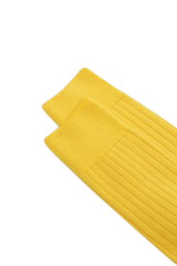 QUINCY_LONG_SOCKS ANTH0004