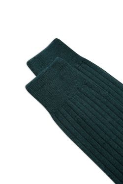 ALBANY_LONG_SOCKS ANTH0002