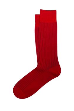 DELAW_SHORT_SOCKS ANTP0001