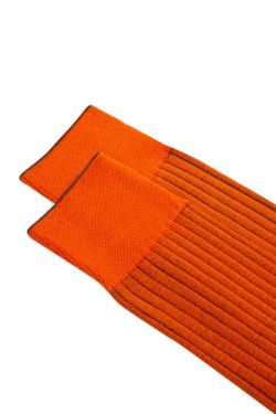 DELAW_LONG_SOCKS ANTP0002
