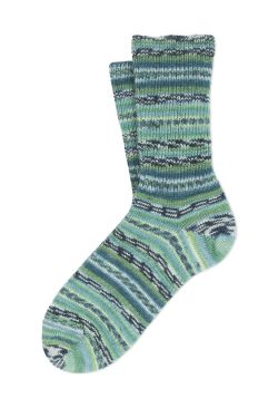 APP_SOCKS D106DY146179
