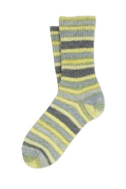 APP_SOCKS D106DY146179