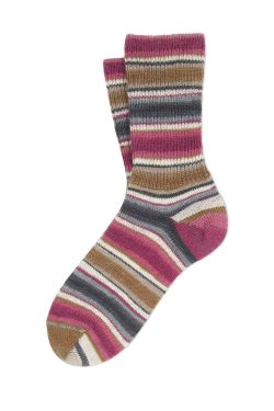 APP_SOCKS D106DY146179