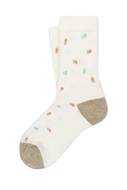 RAWSON_SHORT_SOCKS ANTC0007