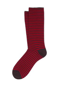 BLETILLA_SHORT_SOCKS ANTF0001